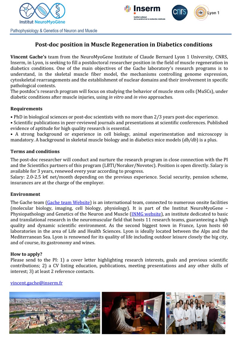 The MNCA team at INMG-PGNM in Lyon is recruiting one post-doc to study Muscle Regeneration in Diabetics conditions. If you like beautiful project, fancy tools and microscopy: Just go for it or spread the news ;)