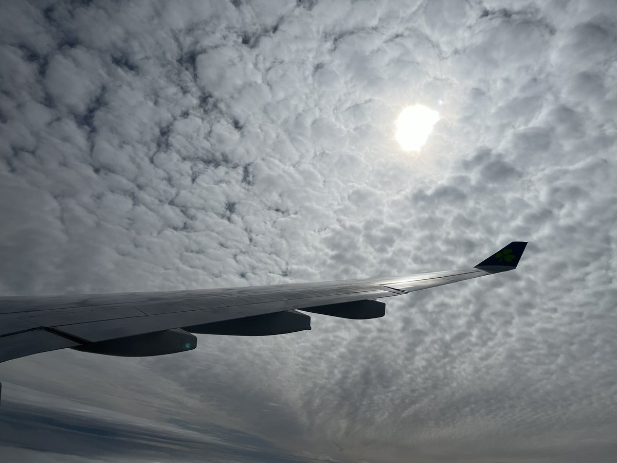 Another #WingFriday shot from my recent @AerLingus flight as we approached San Francisco #avgeek