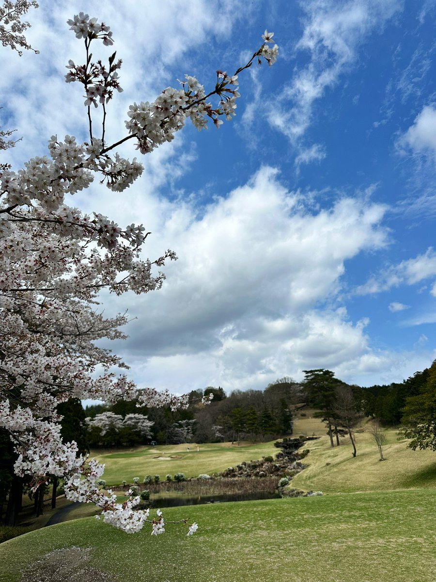 今日は錬成会⛳️🌸 毎年、初戦はなんかダメ😅 OUT連続3hダボで意気消沈😔←萎えたわぁ スロースターターは後半よねって事で… はぃ頑張りました⛳️ いきなりチェンジしたドライバーシャフトはもうちょっと慣れが必要だね🏌️‍♂️ 2日続けては疲れたわ〜 433578