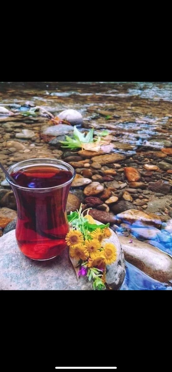 Küsmüşüz dünyaya. İçimizde kırgın bir heves, Aklımızda yorgun bir düş, Masamızda yarım bardak bir çay. Sustuklarımız kendimizden bile daha ağır... Huzurla 🍀🐦.☕️