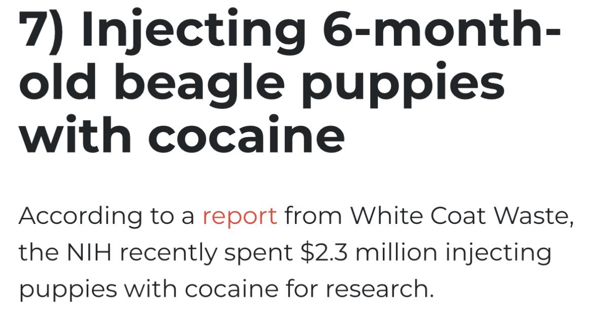iansidman's tweet photo. @alifarhat79 @federalreserve Jerome, if you wouldn't mind, you should take some time to check out $AERO 

Crypto is the future bro 😼🤙🏽, get on the wave 🌊

I give you permission 😇😇 to stop spending your money on cocaine puppies 🐶🫵🏻 & to start investing wisely for this country❤️🇺🇸