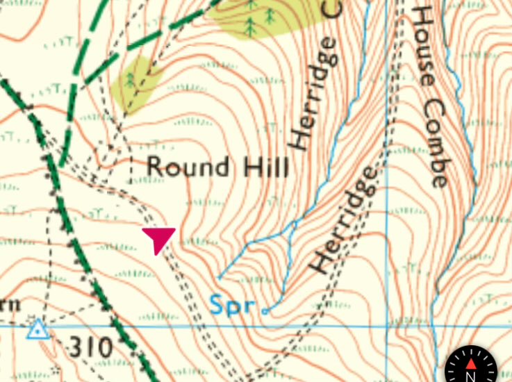 9+ ring ouzels still round hill and top of Herridge Combe 0830