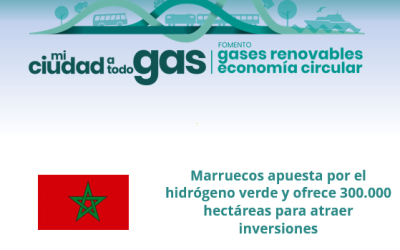 Noticia completa lnkd.in/d3Mb_d-c #miciudadatodogas #GasesRenovables #HidrogenoRenovable #Descarbonizacion #TransicionEnergetica #NetZero