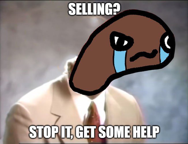 Apparently the DEV is so bullish they are buying more after making some trades on some silly meme coins. We are gonna save the rest tho and launch a sol trending campaign very soon. Also NFA but the next phase of solana is NFTs. Just food for thought 💭 $CryJ