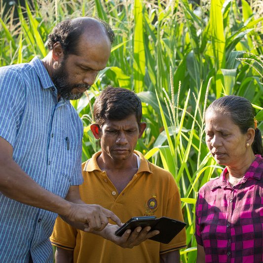 Artificial intelligence and robots 🤖have become an integral part of most agricultural processes. Explore the lastest @FAO #AGROVOC's concept of the month!👇 fao.org/agrovoc/index.… 🙏@TECHINFORMI_GTU for proposing it! 📷©FAO/Lekha Edirisinghe