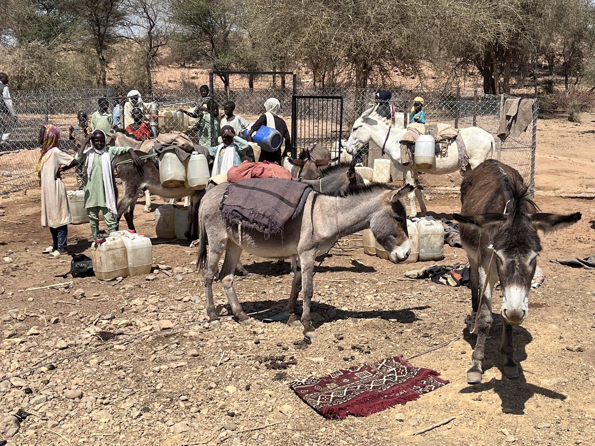 #Sudan Humanitarian agencies’ ability to reach the most vulnerable population is deteriorating due to the heightened violence. Preventing aid distribution is a direct violation of UNSCR 2417, which condemns the use of #starvation as a weapon of war. coopi.org/en/conflict-an…