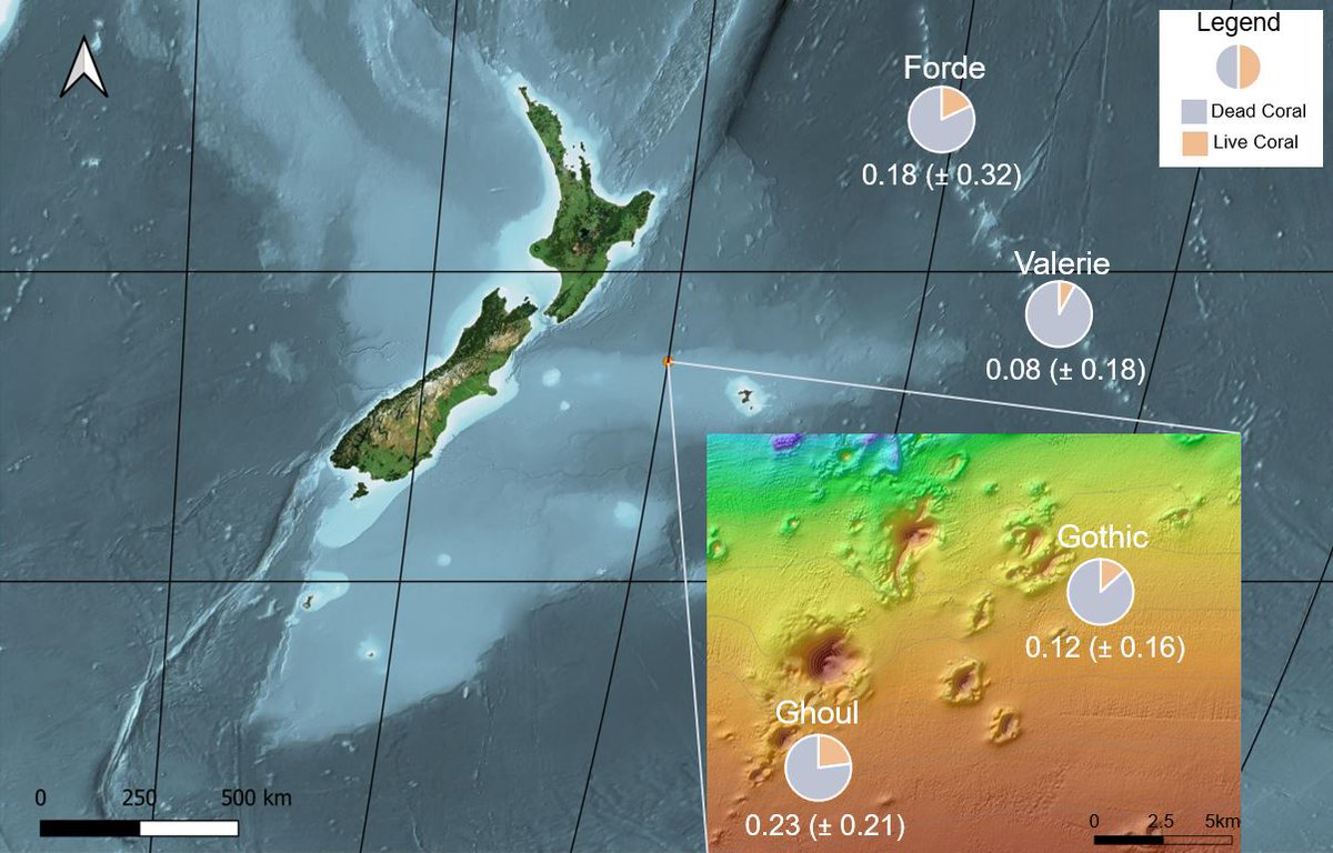 Happy to share our new @biorxivpreprint on exploring how locality and depth drive variations in live proportions of cold-water coral Solenosmilia variabilis reefs in the southwest Pacific tinyurl.com/m42r53tp