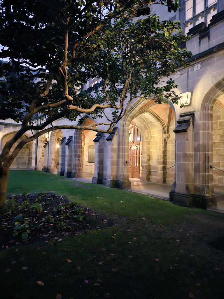 ProfAngePala's tweet photo. @UniMelb you continue to look more radiant each day ✨️ https://t.co/YgVVR9U6a5