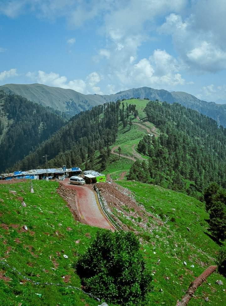 Good afternoon dear friends ❣️ from Hill top Kashmir Peer chanassi hill