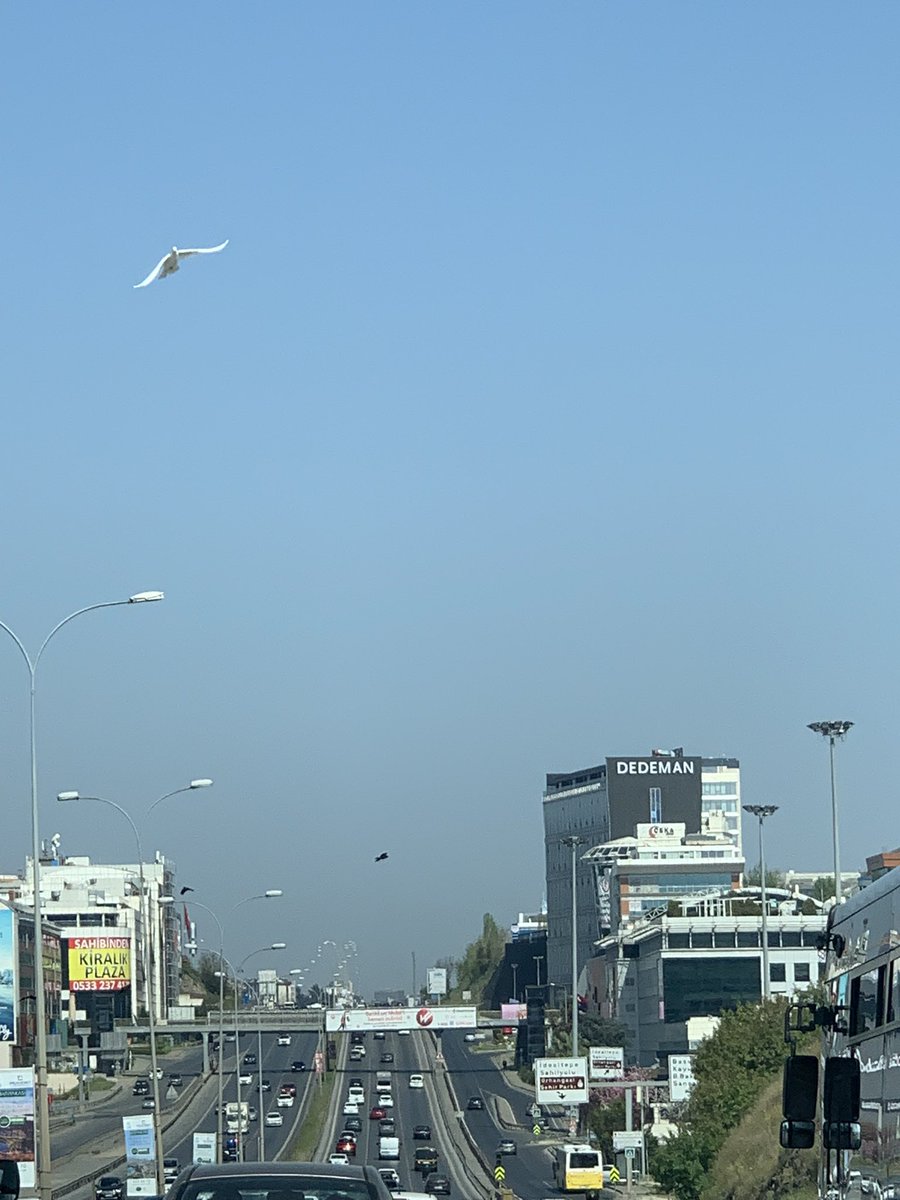 Anadolu yakasından bildiriyorum yollar missss , gelmeyin dönmeyin İstanbul’a 😁