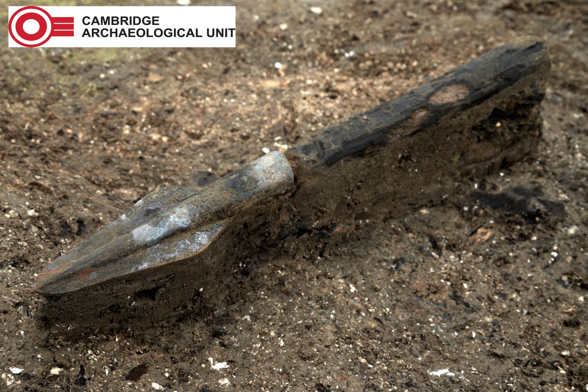 Complete spear shafts from Must Farm ranged in length from 2.6m to 3.4m which may explain why most were associated with light structures around the edges of the site. These long lengths may have prevented them from being easily brought and stored into the roundhouses.