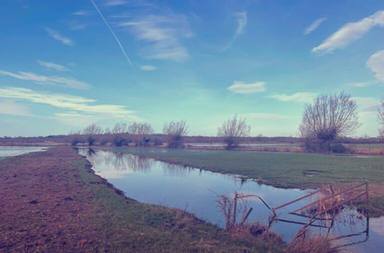 The recent @Floodplainmead project featured @soillifefarmer & others in the area as they adapted to more regenerative farming of their floodplains🌊🚜 Read more - with videos & factsheets about their experiences ccri.ac.uk/news/10/2023/f… #FoodSecurity #Agriculture