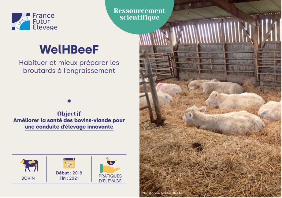 Journéee Jtech #Biosolution : projet WELHBEEF 🔍🐄 🗓 30 avril 📍 Pôle de Lanaud à Boisseuil A cette occasion, (re)découvrez le #projet WELHBEEF présenté par Elisa Vanbergue Inscription : swll.to/iAwL4.