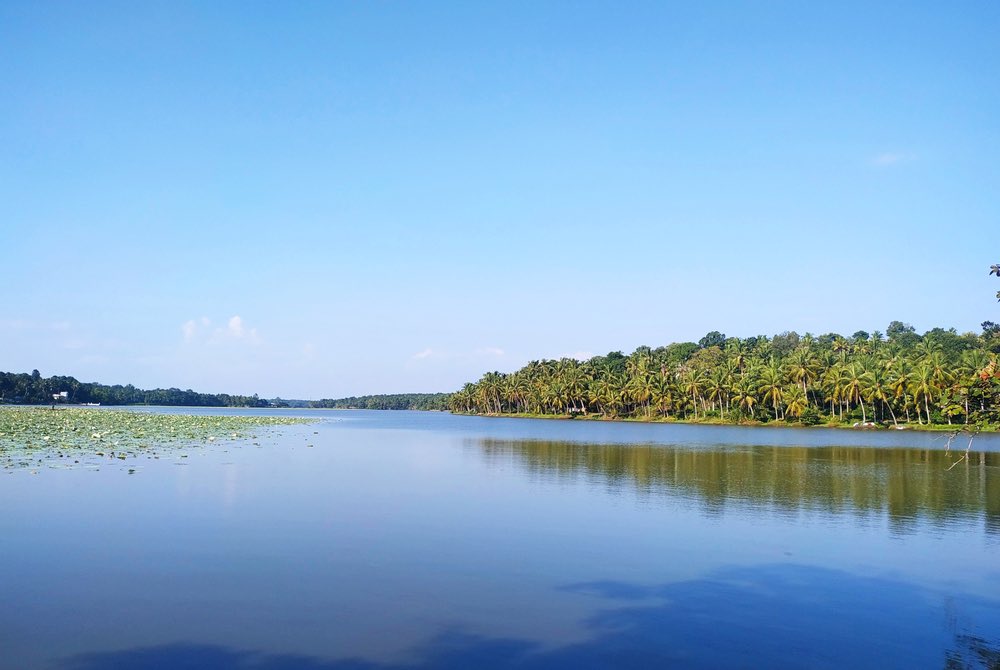 #JalanJalanINDIA Danau indah yg dipenuhi bunga teratai yang sedang mekar ini sangat cocok utk melihat burung-burung yang bermigrasi. Matahari terbit & terbenam di danau Vellayani, dekat Trivandrum adalah pemandangan yg tenang & tenteram. 📸: @KeralaTourism #75thIndiaIndonesia