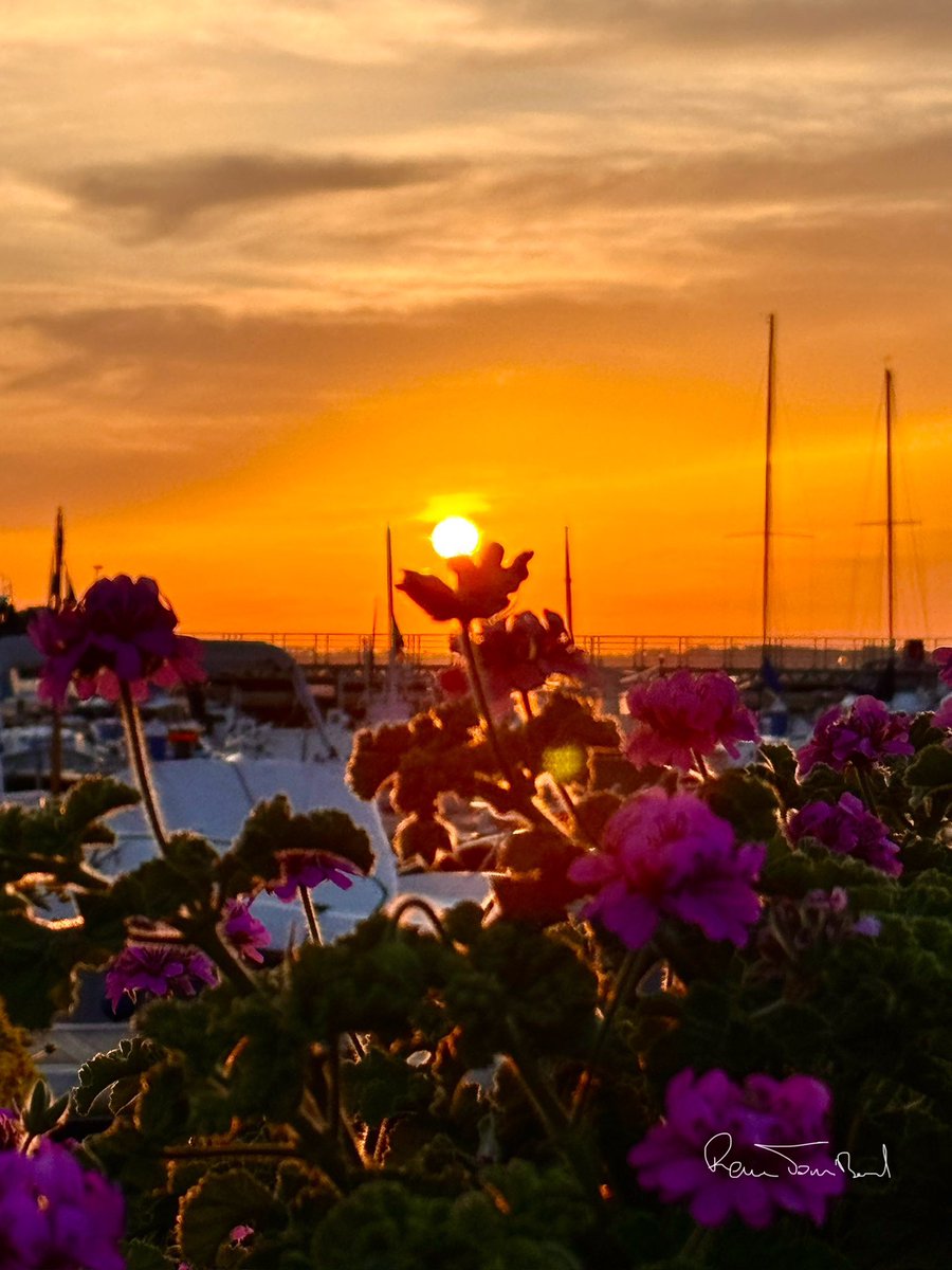 Ca sera pour moi la photo du jour concernant le lever de soleil #cannes #CotedAzurFrance @VisitCotedazur @villecannes @Cannes_France