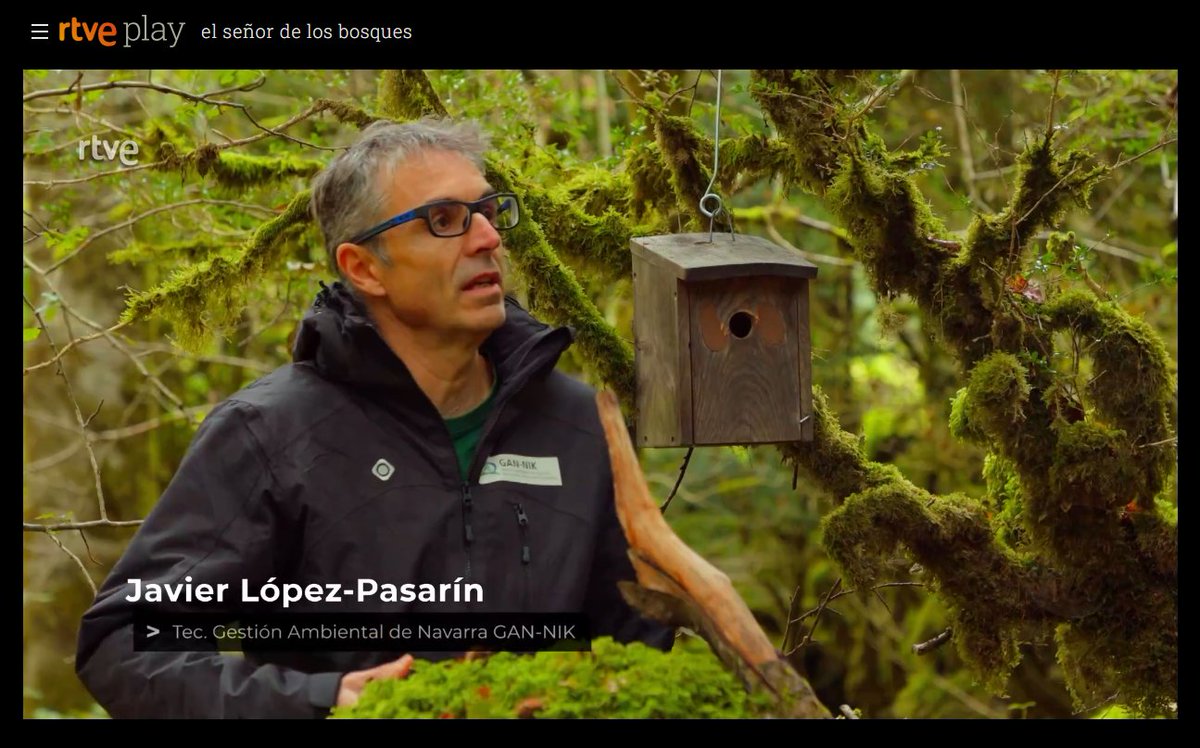 Programa “El Señor de los Bosques” de @rtve grabado en el Valle de #Aezkoa.

Nuestro compañero Javier López-Pasarín explica los problemas que causa la polilla de la oruga de #boj y algunas de las herramientas de lucha contra ella.

A partir del min. 15:17
bit.ly/ESDLB-PolillaB…