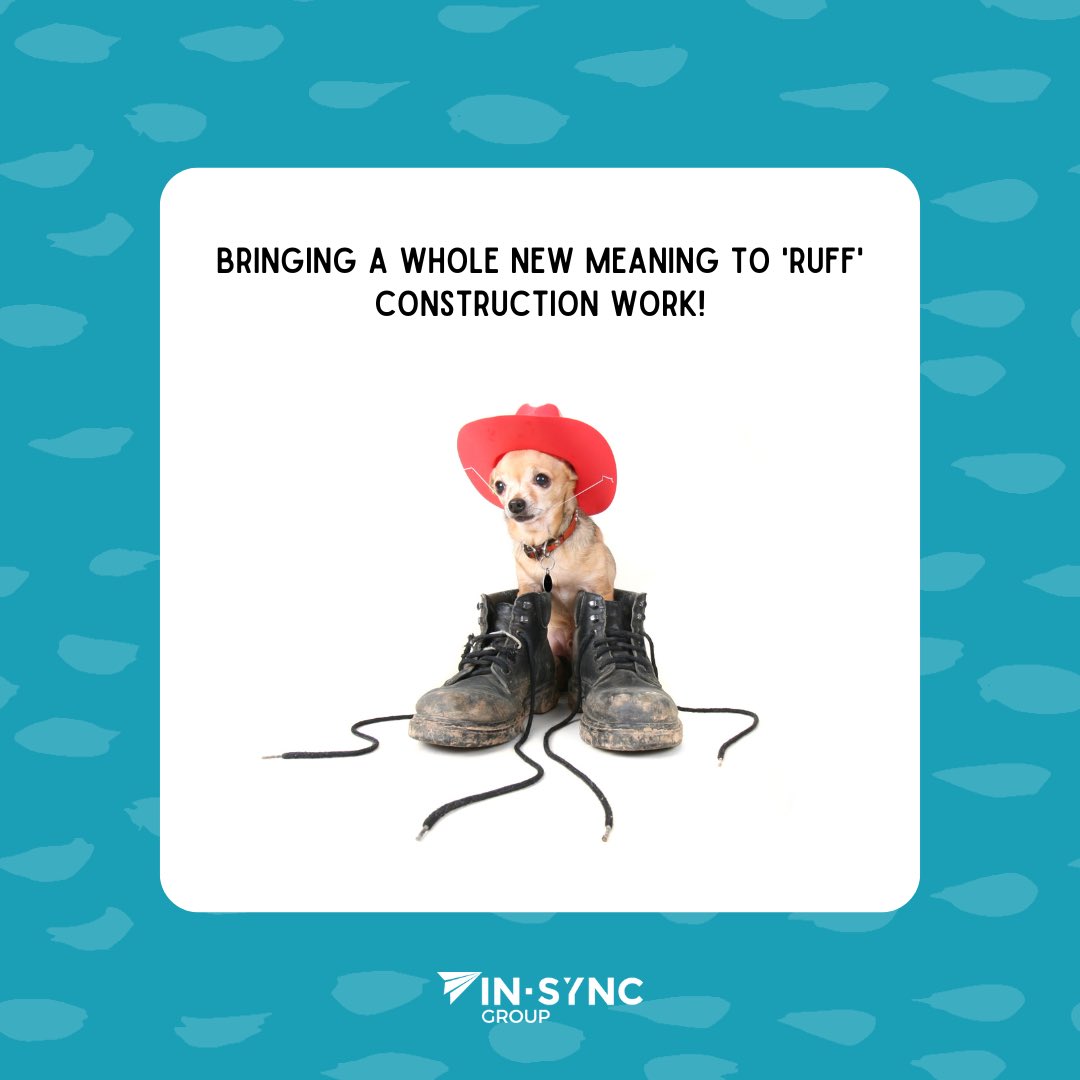 Bringing a whole new meaning to RUFF construction work 🐶😅