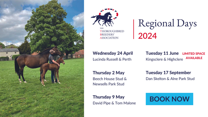 💫TBA Regional Days 2024💫 24 April - Lucinda Russell & Perth Racecourse 2 May- Beech House Stud & Newsells Park 9 May- David Pipe & Tom Malone 17 September- Dan Skelton & Alne Park Stud  Book your place: shorturl.at/cmvG3