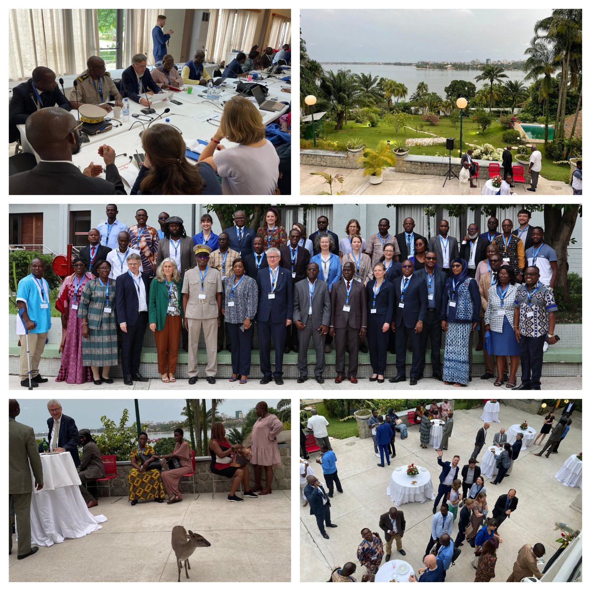 🌍 We are very grateful for the successful joint discussions during the One Health Surveillance Workshop in Abidjan, and special thanks to the German Ambassador Matthias Veltin for a wonderful reception at the German Embassy. 🙏 #OneHealth