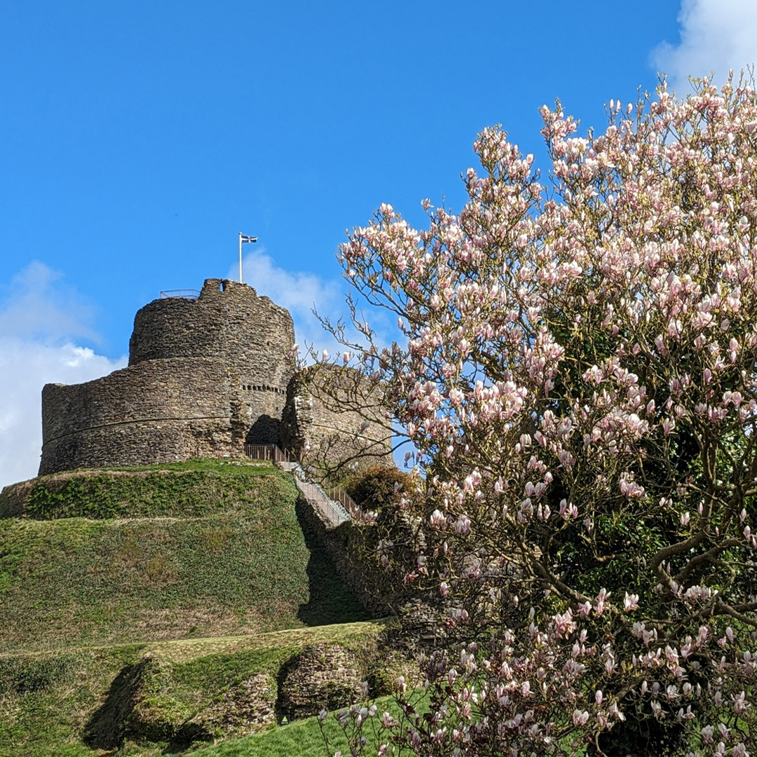 It's easy to see why this was once a symbol of Norman power 💪⚔️ Today Launceston Castle's grounds are ideal for relaxing and picnicking while you enjoy the great views of the surrounding valley - the perfect way to spend a #feelgoodfriday 🥪 Photo by @burngold 🙌 📌Cornwall