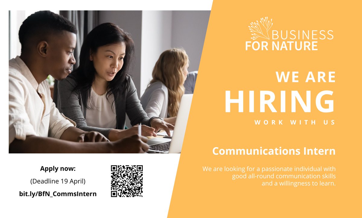 🔊 #HIRING! We’re looking for a communications intern to join our team! 🍃 Are you looking to start your career in a multi-stakeholder international #environmental coalition? ❌ Deadline: 19 April 🔗 Apply here: bit.ly/BfN_CommsIntern