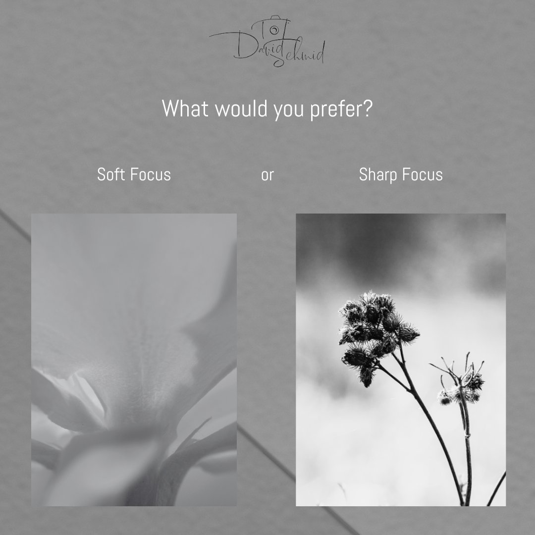 dschmidphoto's tweet image. If we compare soft focus to sharp focus, we see a big difference. They&apos;re used depending on the context and on the emotions we want to convey through our pictures. Which one do you prefer? 🍃

#softfocus #sharpfocus #monochrome