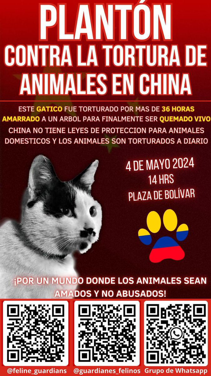 Colombia 
#animallover #animalabuse #animalabuser #animalprotection #justiceforanimals

#endanimalcruelty #endanimalabuse #animalcruelty #animalrights #voiceforthevoiceless #animalwelfar #felineguardianswithoutborders      #banthedogmeattrade #nodogsleftbehind

#banthedogmeat
