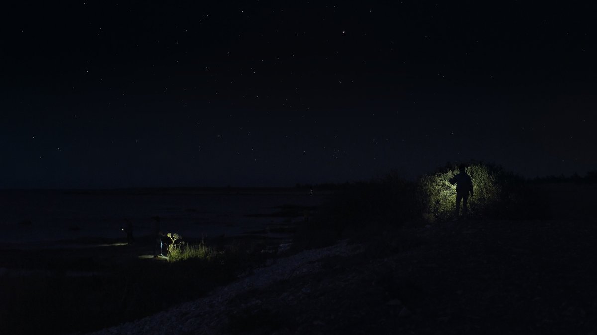 *20:00 "Eventide" (Sharon Lockhart, 2022)
labur.eus/BrxPS
_
Deva Peredaren "Lika" (2023) eta Ana Júlia Silvinoren "ODOYÁ EZ DAGO!" (2024) ikus-entzunezko instalazioak igandera arte, apirilak 14, izango dira zabalik. <a href="/unaisladesierta/">Irla mortu bat / Una isla desierta</a> #EQZEskola <a href="/tabakalera/">Tabakalera</a>