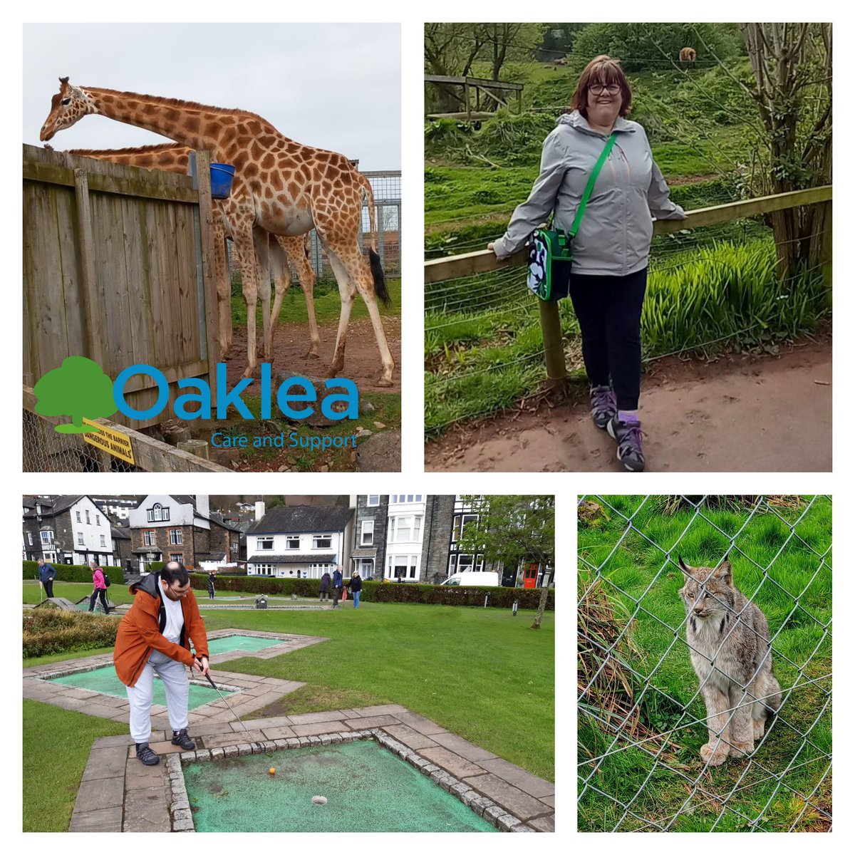We never sit on fence when it comes to good day out.....ok Alice does for a snap📷🥰Philip takes in a round in Ambleside...He's a 'Master'⛳ Alice takes in Furness savannah at South Lakes Safari Zoo🦁We're always having a 'giraffe'....guaranteed💓 #Cumbria #Kendal #southlakeland