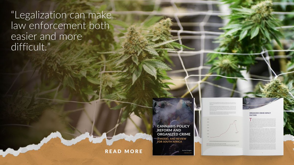 Cannabis reform in #SouthAfrica represents more than just legal changes; it's about economic opportunities, social justice, and tackling organized crime. If done right... 📌 Dive into our report for insights into navigating this complex landscape: buff.ly/3SRuCFO