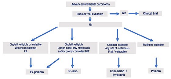 Proposed Schema for First-Line Therapy of Metastatic Urothelial Carcinoma* dailynews.ascopubs.org/do/selecting-f… @sonpavde #Cancer #Oncology #meded #MedX *All of these trials required satisfactory organ function and controlled comorbidities, including DM.