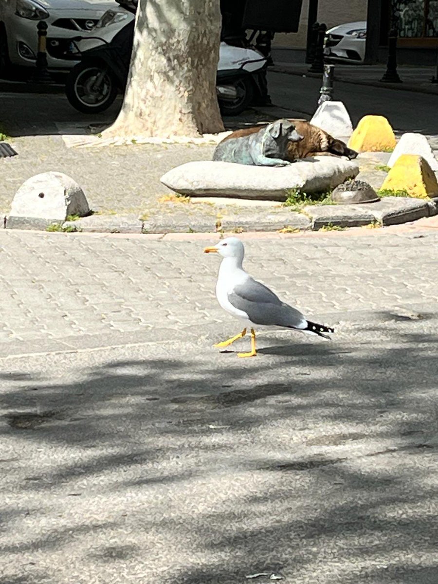 İstanbul Moda dan bir güzellik 🥰❤️