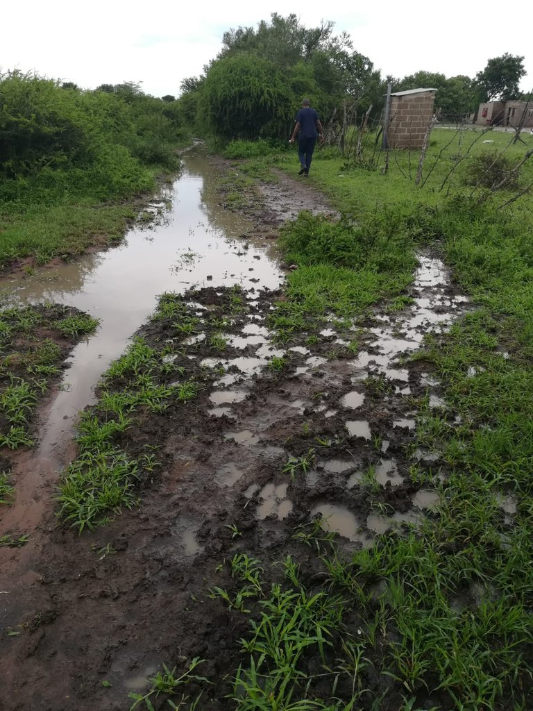 Wits Research Institute for Malaria (WRIM) tweet media