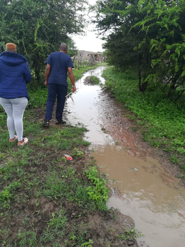 Wits Research Institute for Malaria (WRIM) tweet media