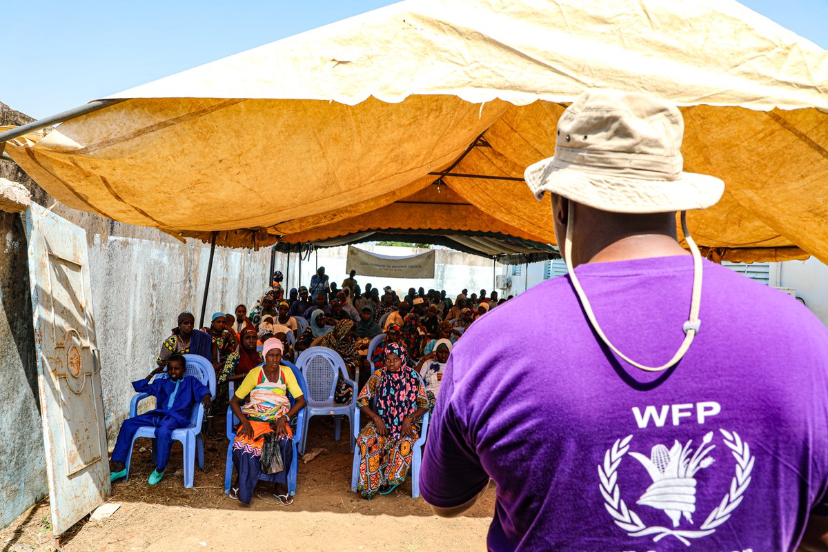 🆕55 millions de personnes en Afrique de l'Ouest & du Centre auront du mal à se nourrir pendant la période de soudure (juin-août 2024) selon @WFP_WAfrica, @UNICEF_Media_Fr, @FAOWestAfrica & @CILSSinfos Il existe des solutions, agissons ‼️ 🔗urlz.fr/qfVz