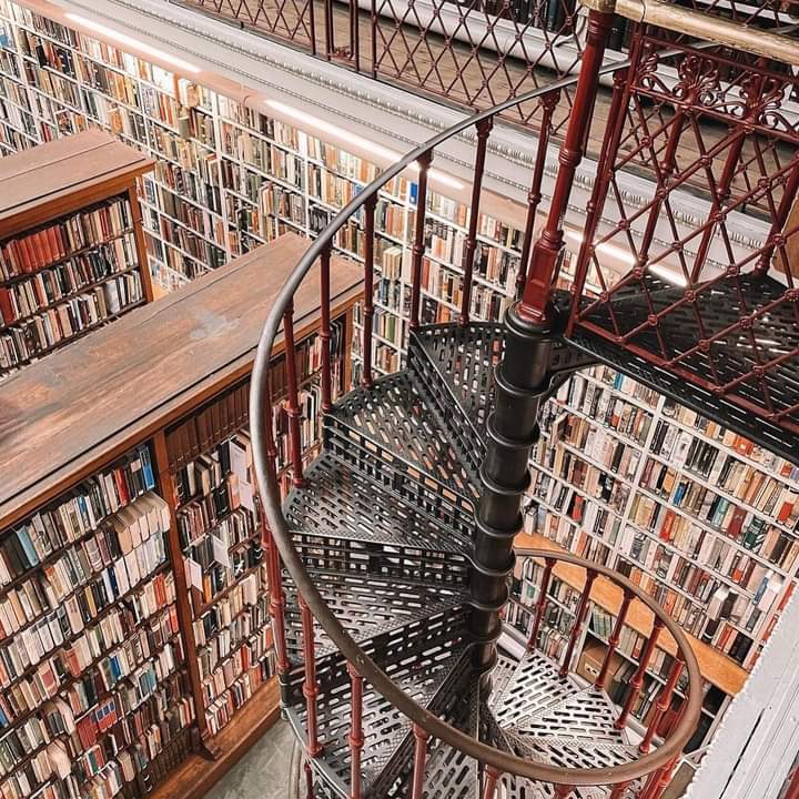 You too could visit a library like this. The Lit & Phil in Newcastle. A gem in so many ways.