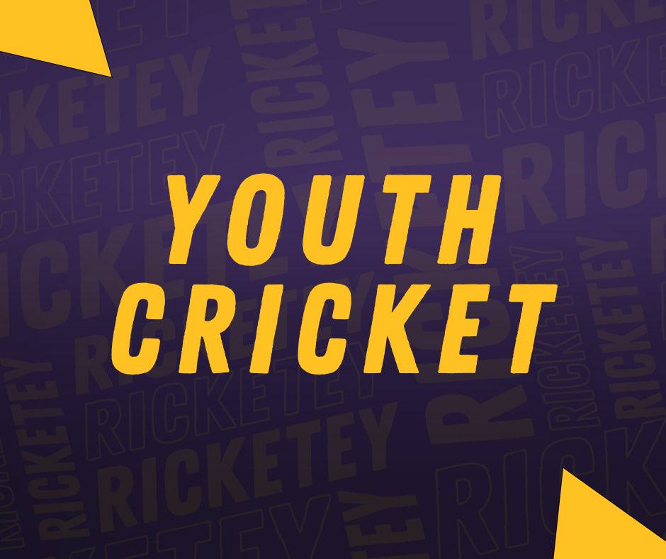 Instonians Cricket tweet media