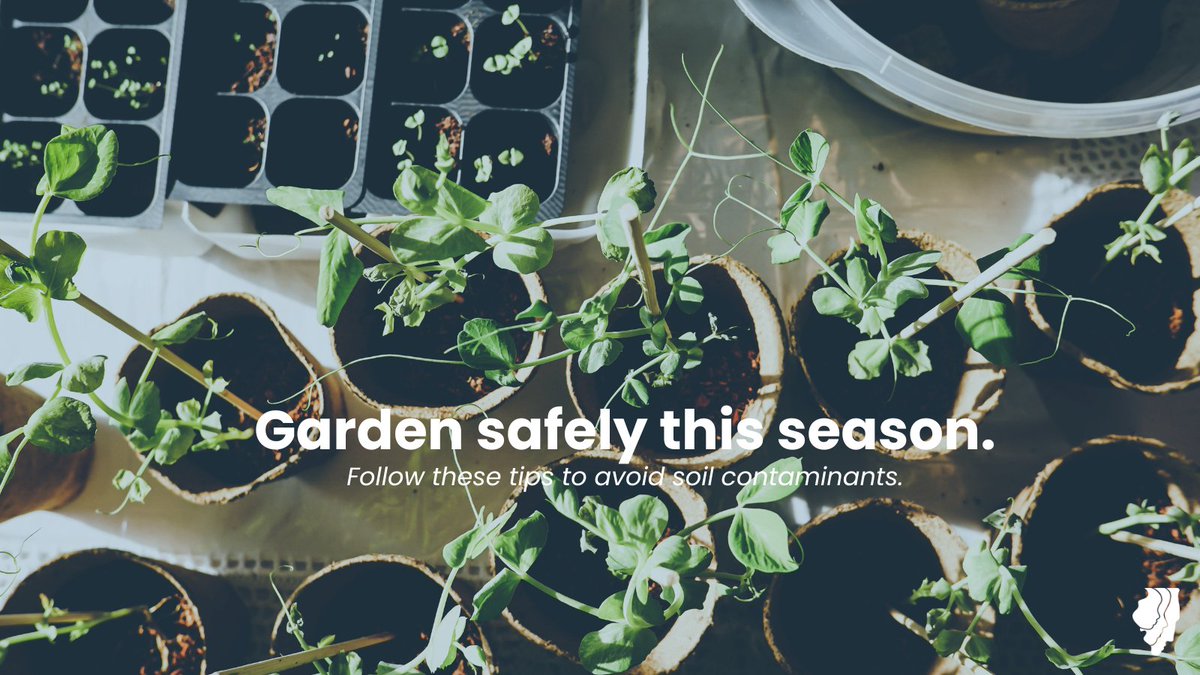 Reduce your exposure to soil contaminants in the garden this season! 🌱 🧤 Wear gloves 🧼 Wash your hands 👟 Remove your shoes indoors 🧹 Vacuum rugs and carpets 🪟 Close the windows on windy days