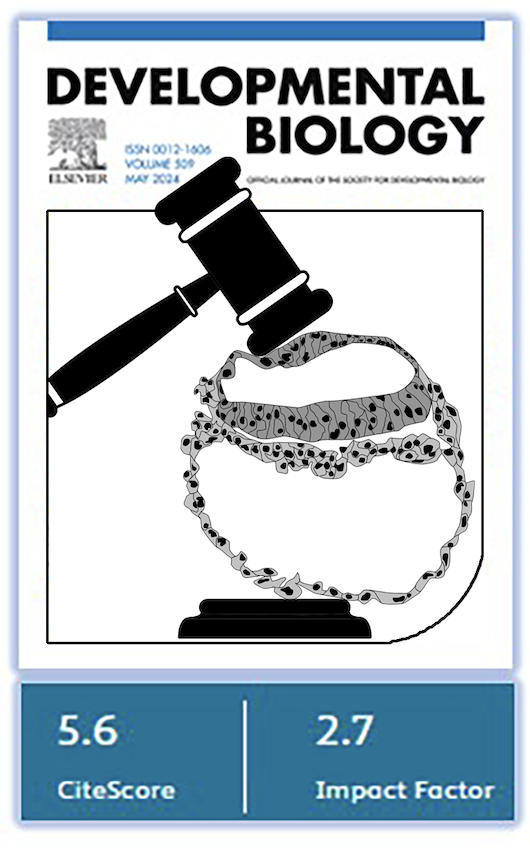Nicole Theodosiou (@theodosn) on Twitter photo 👇👇👇Special Issue. Call for papers <a href="/Dev_Bio_Journal/">Developmental Biology</a> <a href="/SocDevBio/">Society for Developmental Biology</a> (image: <a href="/mjbarresi/">Michael Barresi</a> ): Teaching for Social Change. 👇👇👇
Do you have an approach to teaching social justice issues in developmental biology? .. 👇👇👇Special Issue. Call for papers <a href="/Dev_Bio_Journal/">Developmental Biology</a> <a href="/SocDevBio/">Society for Developmental Biology</a> (image: <a href="/mjbarresi/">Michael Barresi</a> ): Teaching for Social Change. 👇👇👇
Do you have an approach to teaching social justice issues in developmental biology? ..