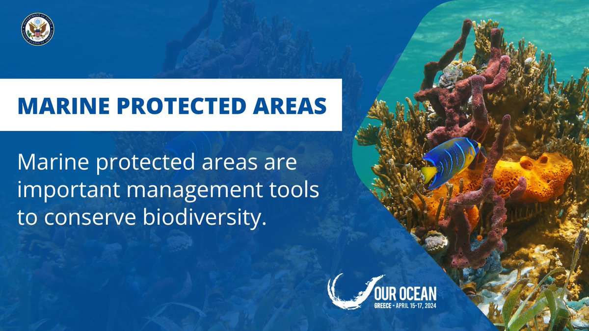 More than 80 countries and counting have signed the High Seas Treaty and two countries have ratified it. Together, we can work to establish marine protected areas on the high seas. #OurOcean2024 #RaceForRatification @OurOceanGreece @SciDiplomacyUSA