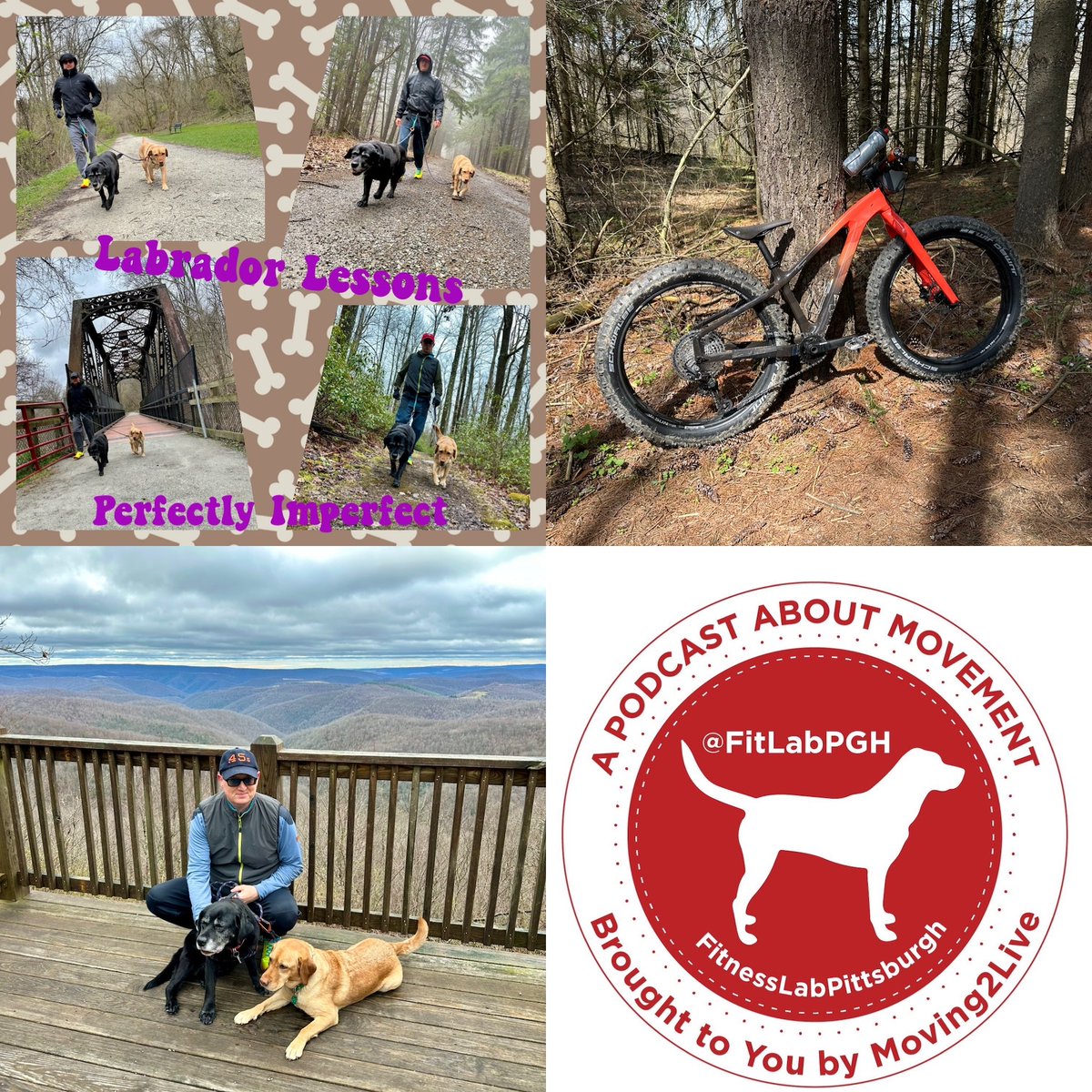 FitLabPGH promotes #movementisalifestyle w weekly movement tips & a Labrador Lesson. This week the Labs say An Imperfect Walk Is Better Than No Walk Our Movement Tips: ANY Day Is A Good Day To Move Outside & Invite Friends To Move With You
tinyurl.com/fitlabpghtips1…