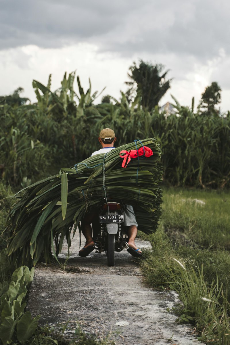 Christopher Imbsen, WTTC VP of Research & Sustainability joined leaders from @OxfordEconomics in exploring the sector’s efforts to understand, quantify, & improve the relationship between Travel & Tourism and nature. 🎧 Listen here 👉 bit.ly/4aNkBPZ #Travel #WTTC