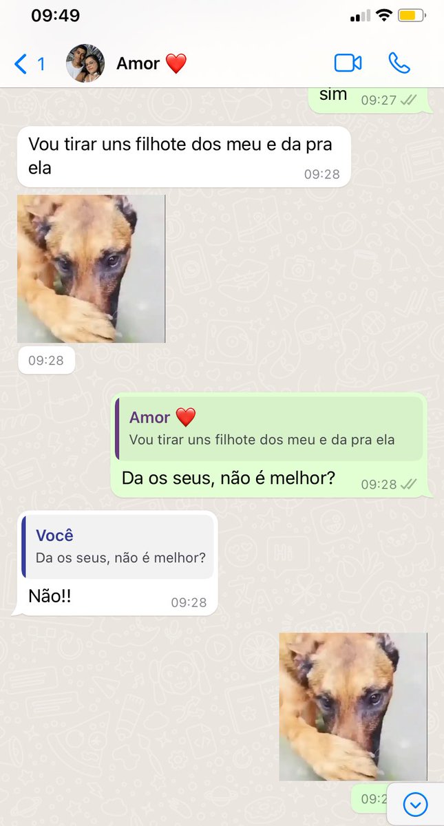 pitchulinh4's tweet photo. Matheus é passarinheiro e todo dia a gente tem esse tópico pra discutir 
Pq ele quer levar 
E eu não quero aceitar https://t.co/5DwRolEOv8