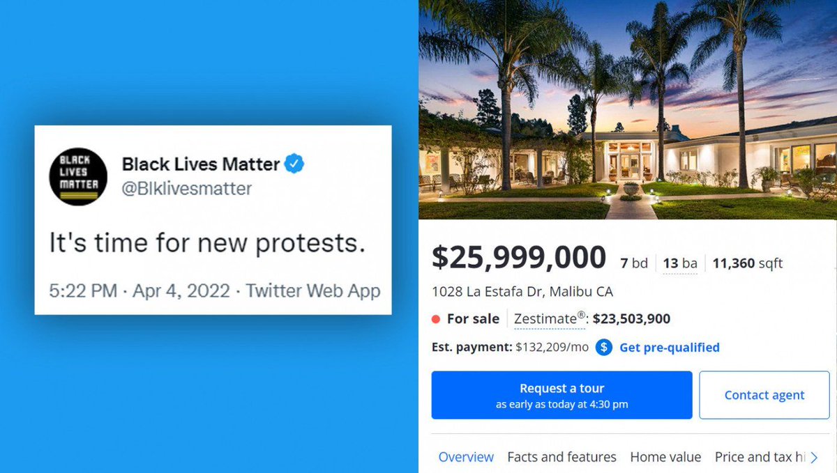 BLM Leaders Call For Renewed Protests This Summer After Finding A Fantastic Beach House For Sale On Zillow buff.ly/3VVxSS7