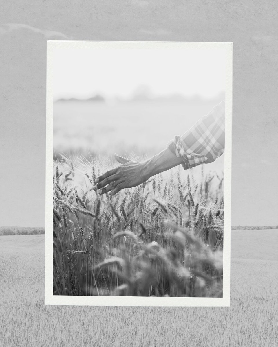 The Tortured Farmers Department...

We may not write poetry and anthems about farming, but learning about the process of operating a local farm is essential enough that it *should inspire* art.

#stthomasproud #TTPD #iykyk #HortonFarmersMarket