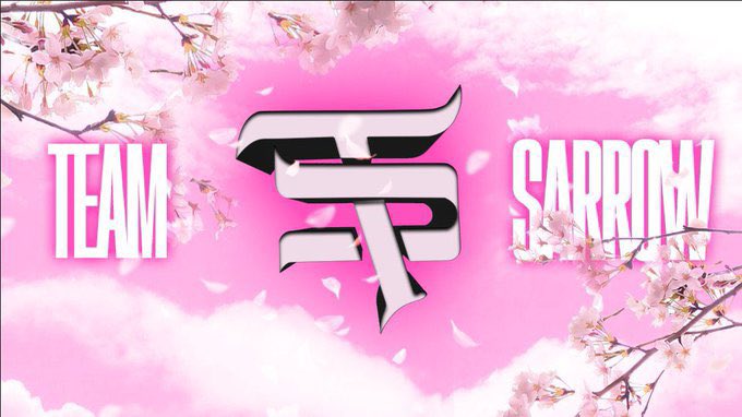 SlicCB0ii's tweet photo. My @TeamSarrow_ jerseys come in tomorrow!!
Who trying to see what it looks like?
#WeAreSarrow🌸 #TeamSarrow🌸
#SarrowStreamer🌸 https://t.co/NEFVoEaqQ4