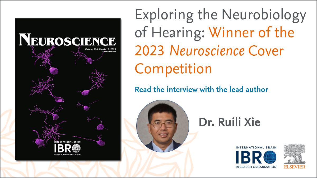 The prize for the best Neuroscience cover of 2023 goes to Drs. Ruili Xie, Meijian Wang, Chuangeng Zhang, and Shengyin Lin! Congratulations! Read the research behind the cover in an interview with Dr. Xie > spkl.io/60134FXhc @NeurosciIBRO @IBROorg