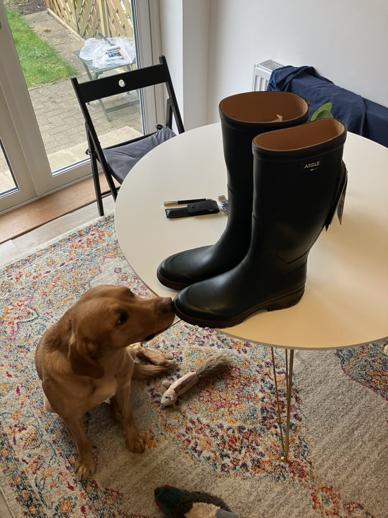 Bedale P2P this weekend. If any mutuals are coming, I’ll be the one being relentlessly mocked for having clean new wellies.