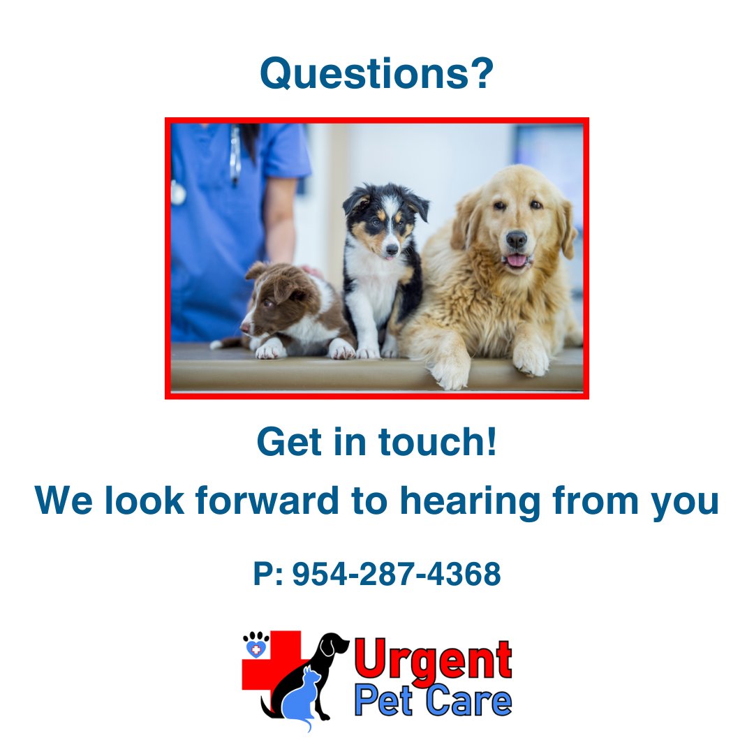 Questions? Get in touch! We look forward to hearing from you!

Click the 🔗 in our bio for more information!

#urgentpetcare #emergency #vetlife #animals #cats #dogs #animalcare