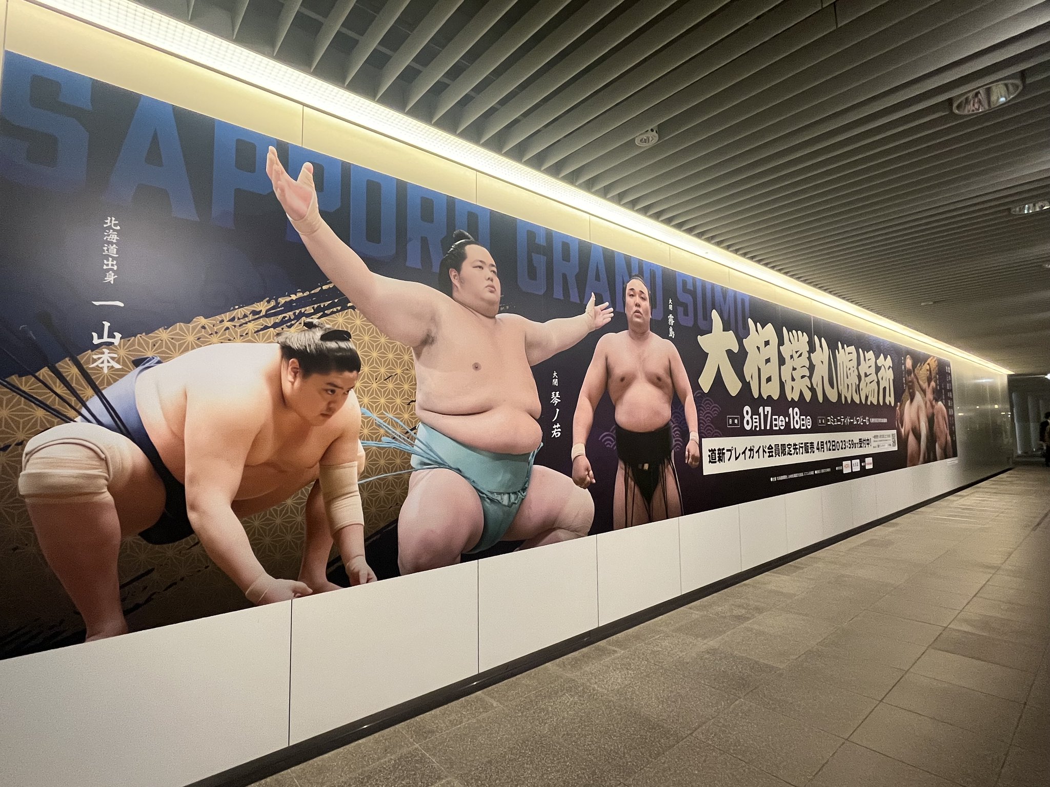 大相撲札幌場所 巡業チケット ペア枡席（大相撲足利場所ペア